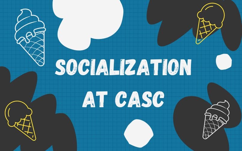 Socialización en CASC