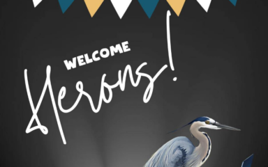 Bienvenida a las garzas