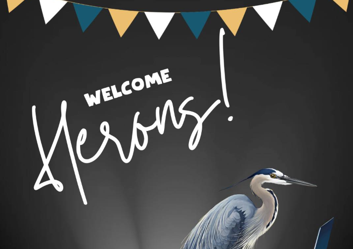 Bienvenida a las garzas