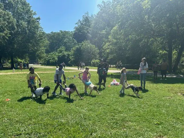 Unos niños juegan en un parque iluminado por el sol, formando una carrera de orugas humanas. Exuberantes árboles verdes los rodean, creando un ambiente alegre y animado.