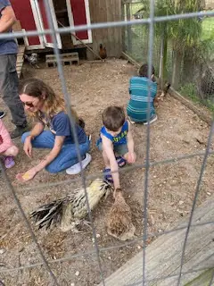 Un niño acaricia una gallina en un corral vallado al aire libre, con una mujer sentada cerca y otro niño al fondo.