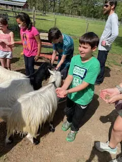 Los niños alimentan alegremente a las cabras blancas y negras al aire libre, rodeados de adultos.